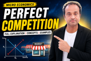 Perfect Competition